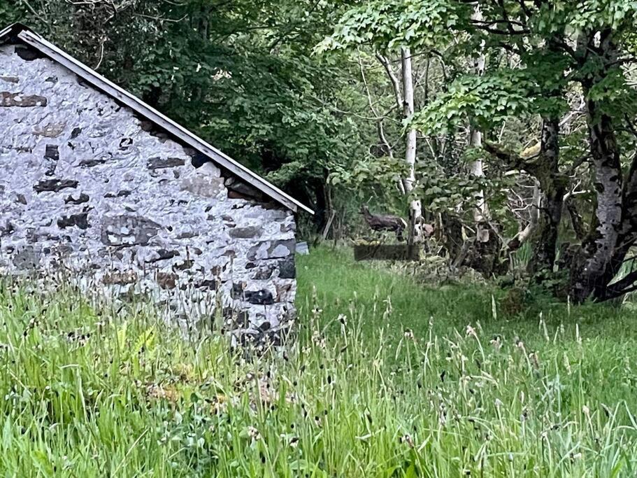 John The Mills Cottage Spahot Tub Private Beach Donegal Town Екстер'єр фото